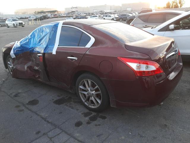 Photo 1 VIN: 1N4AA51E69C848913 - NISSAN MAXIMA 