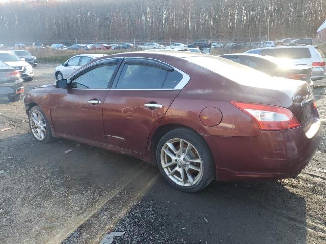 Photo 1 VIN: 1N4AA51E69C849477 - NISSAN MAXIMA S 