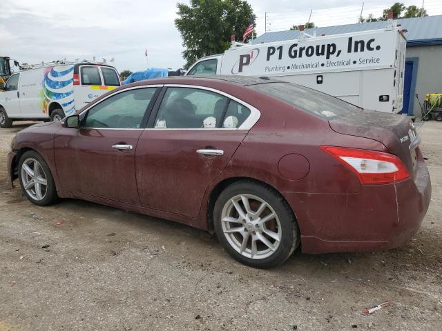 Photo 1 VIN: 1N4AA51E79C836933 - NISSAN MAXIMA S 