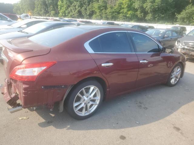 Photo 2 VIN: 1N4AA51E79C856454 - NISSAN MAXIMA S 