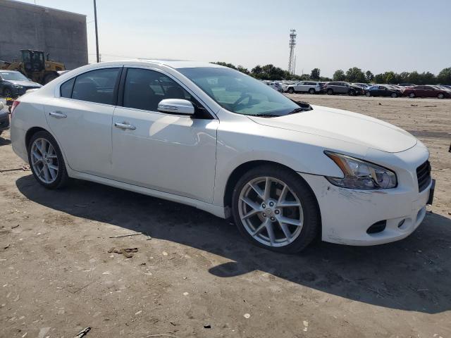 Photo 3 VIN: 1N4AA51E89C808803 - NISSAN MAXIMA S 