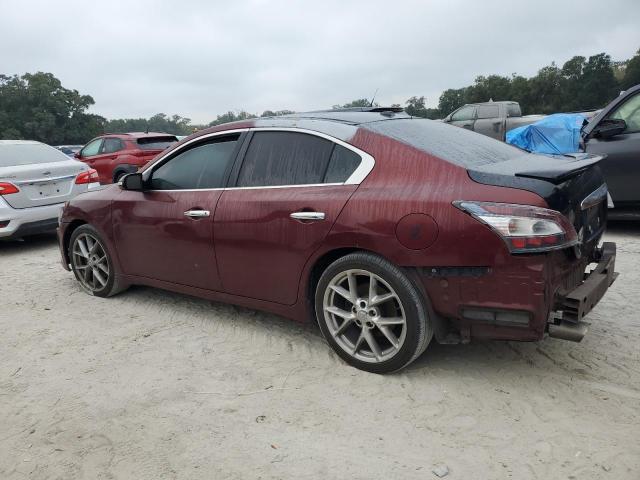 Photo 1 VIN: 1N4AA51E89C826539 - NISSAN MAXIMA S 