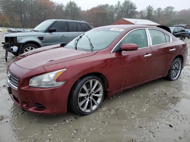 Photo 0 VIN: 1N4AA51E89C830610 - NISSAN MAXIMA 