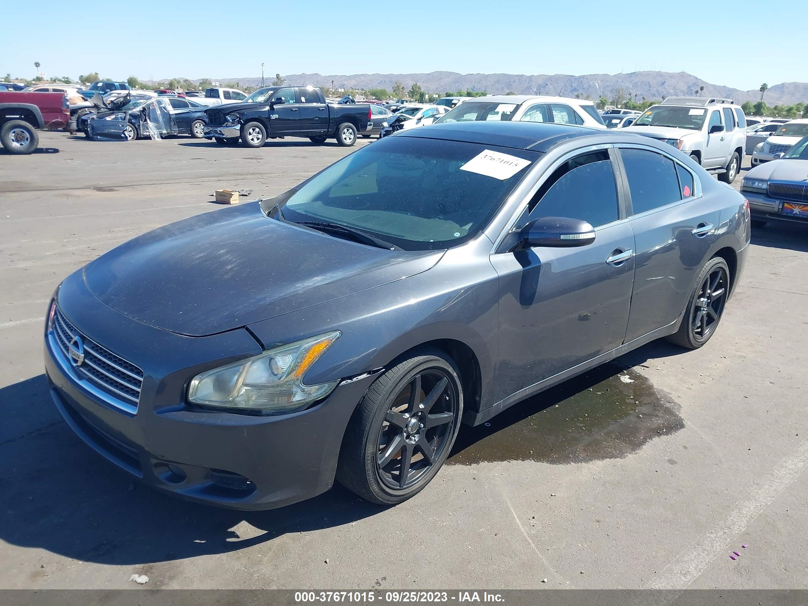 Photo 1 VIN: 1N4AA51E89C833555 - NISSAN MAXIMA 