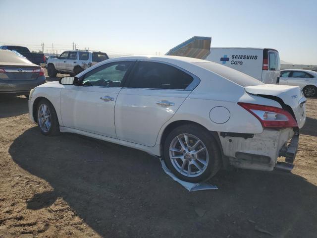 Photo 1 VIN: 1N4AA51E89C836827 - NISSAN MAXIMA 