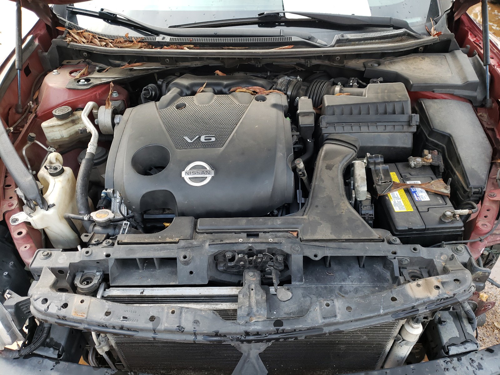 Photo 6 VIN: 1N4AA51E99C808423 - NISSAN MAXIMA S 