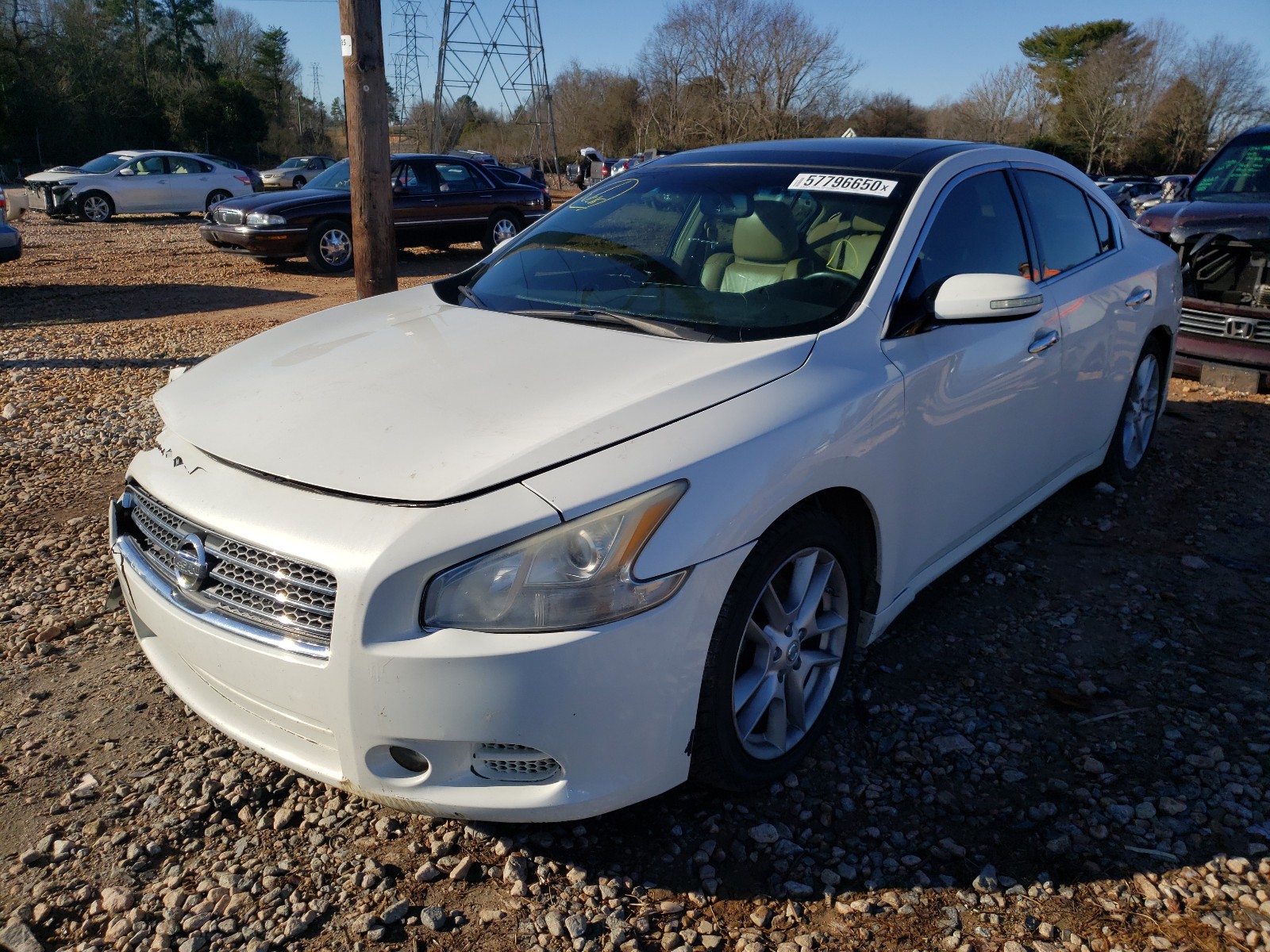 Photo 1 VIN: 1N4AA51E99C811015 - NISSAN MAXIMA S 