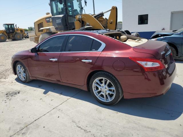 Photo 1 VIN: 1N4AA51E99C822015 - NISSAN MAXIMA 