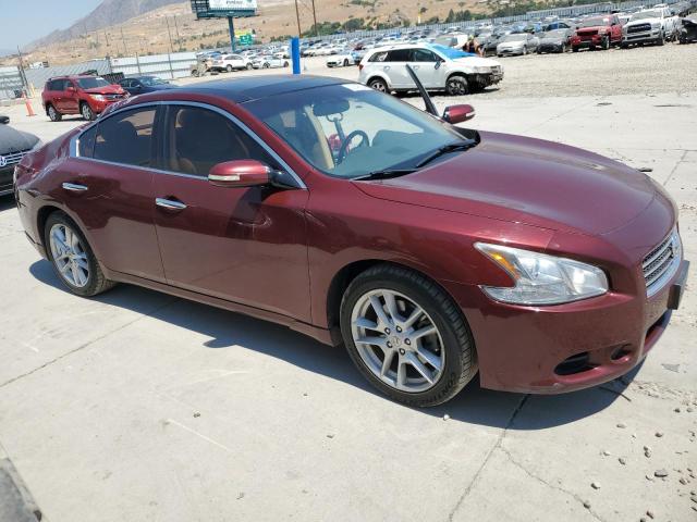 Photo 3 VIN: 1N4AA51E99C822015 - NISSAN MAXIMA 