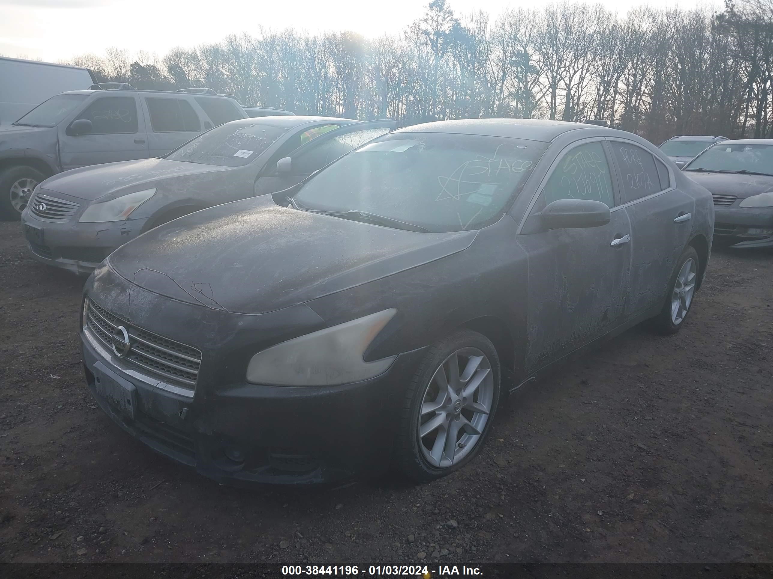 Photo 1 VIN: 1N4AA51E99C824587 - NISSAN MAXIMA 