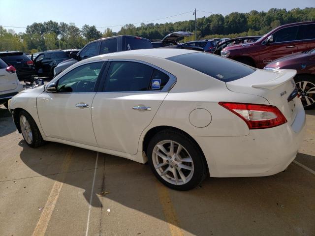 Photo 1 VIN: 1N4AA51E99C828011 - NISSAN MAXIMA S 