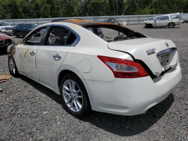 Photo 1 VIN: 1N4AA51E99C836805 - NISSAN MAXIMA 