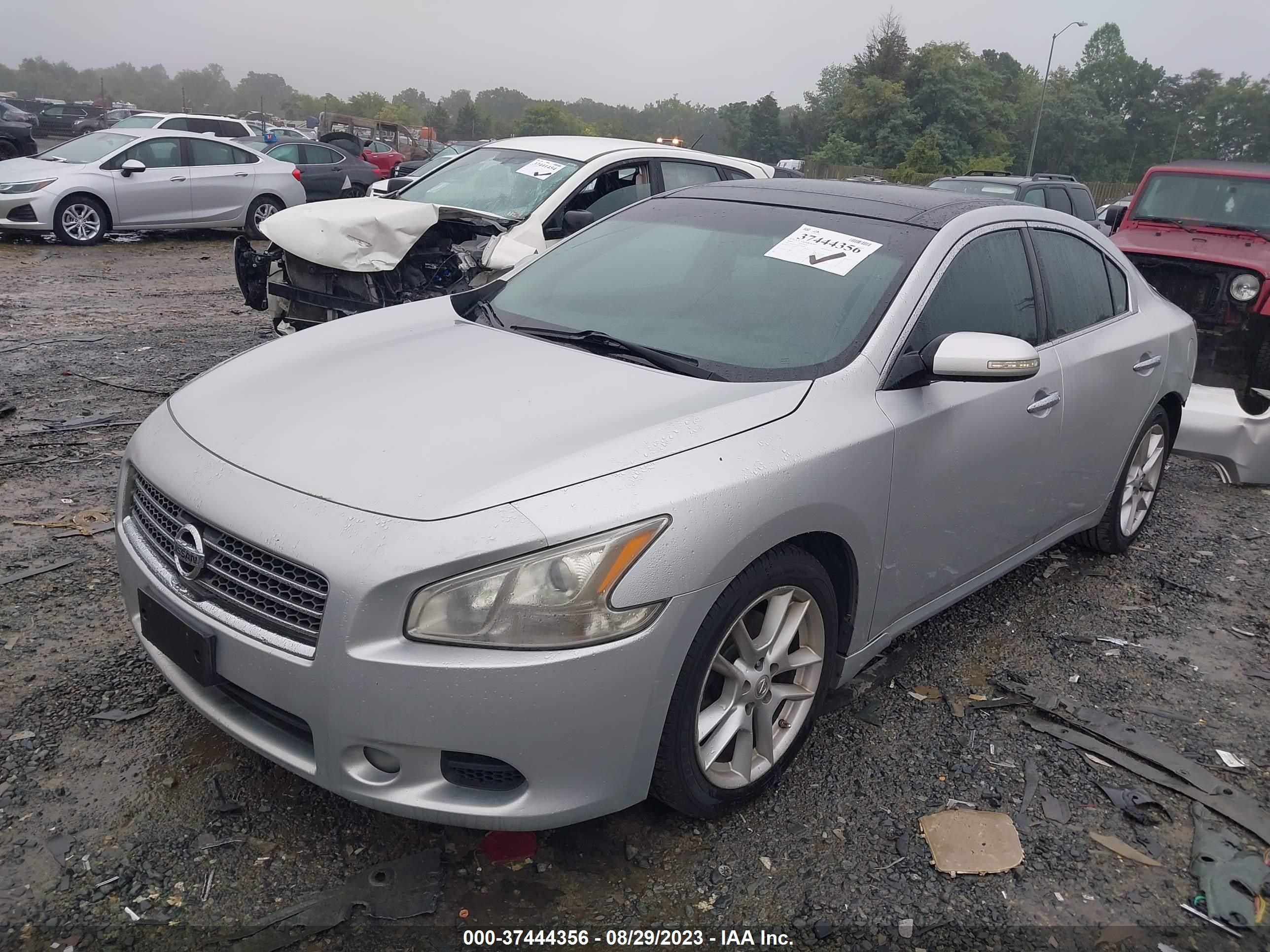 Photo 1 VIN: 1N4AA51E99C841583 - NISSAN MAXIMA 