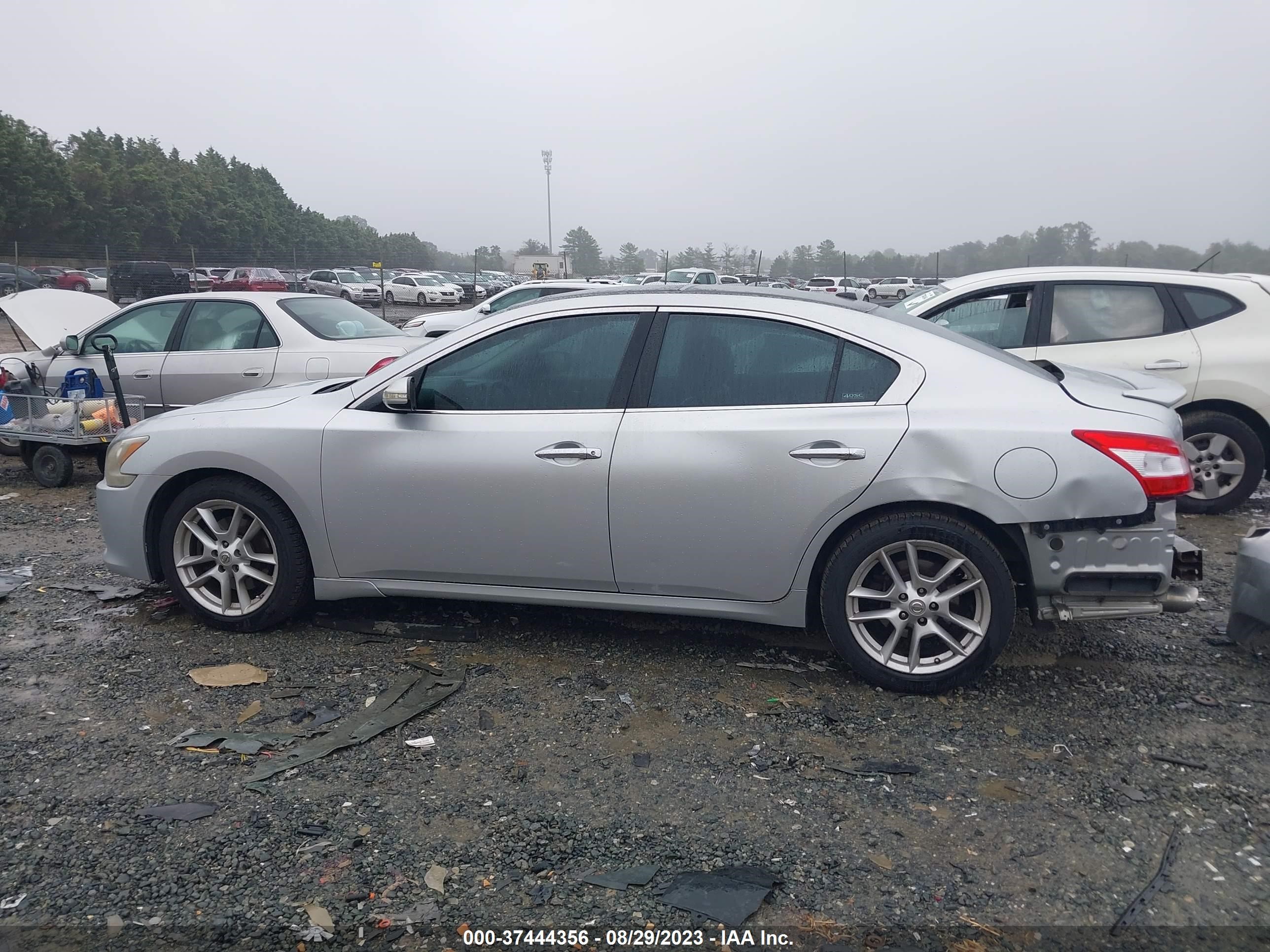 Photo 14 VIN: 1N4AA51E99C841583 - NISSAN MAXIMA 