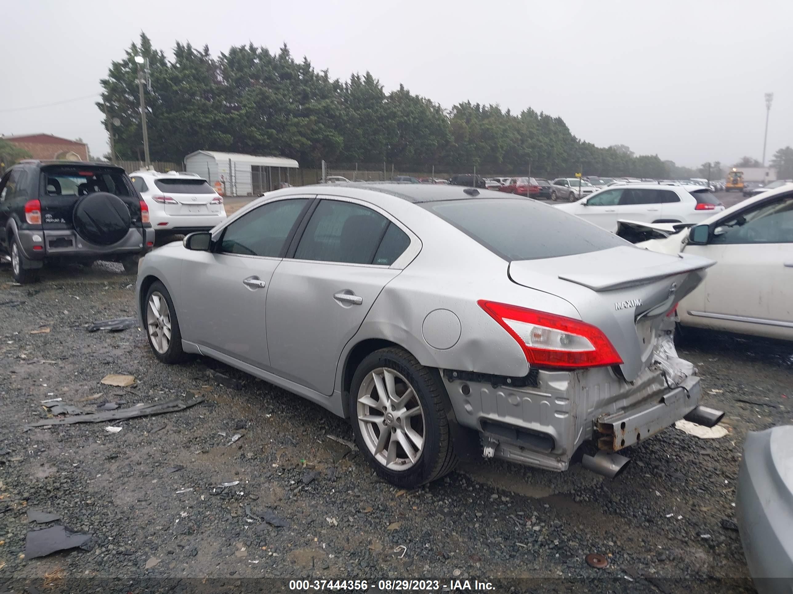 Photo 2 VIN: 1N4AA51E99C841583 - NISSAN MAXIMA 