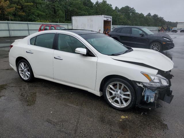 Photo 3 VIN: 1N4AA51E99C845360 - NISSAN MAXIMA S 