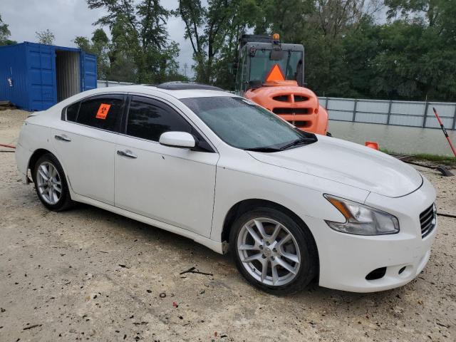 Photo 3 VIN: 1N4AA51E99C846802 - NISSAN MAXIMA 