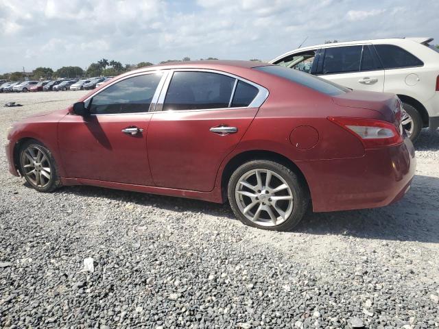 Photo 1 VIN: 1N4AA51E99C848646 - NISSAN MAXIMA 