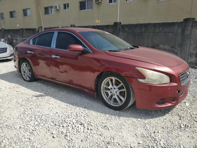 Photo 3 VIN: 1N4AA51E99C848646 - NISSAN MAXIMA 