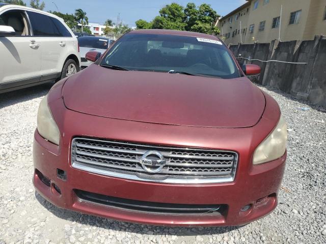 Photo 4 VIN: 1N4AA51E99C848646 - NISSAN MAXIMA 