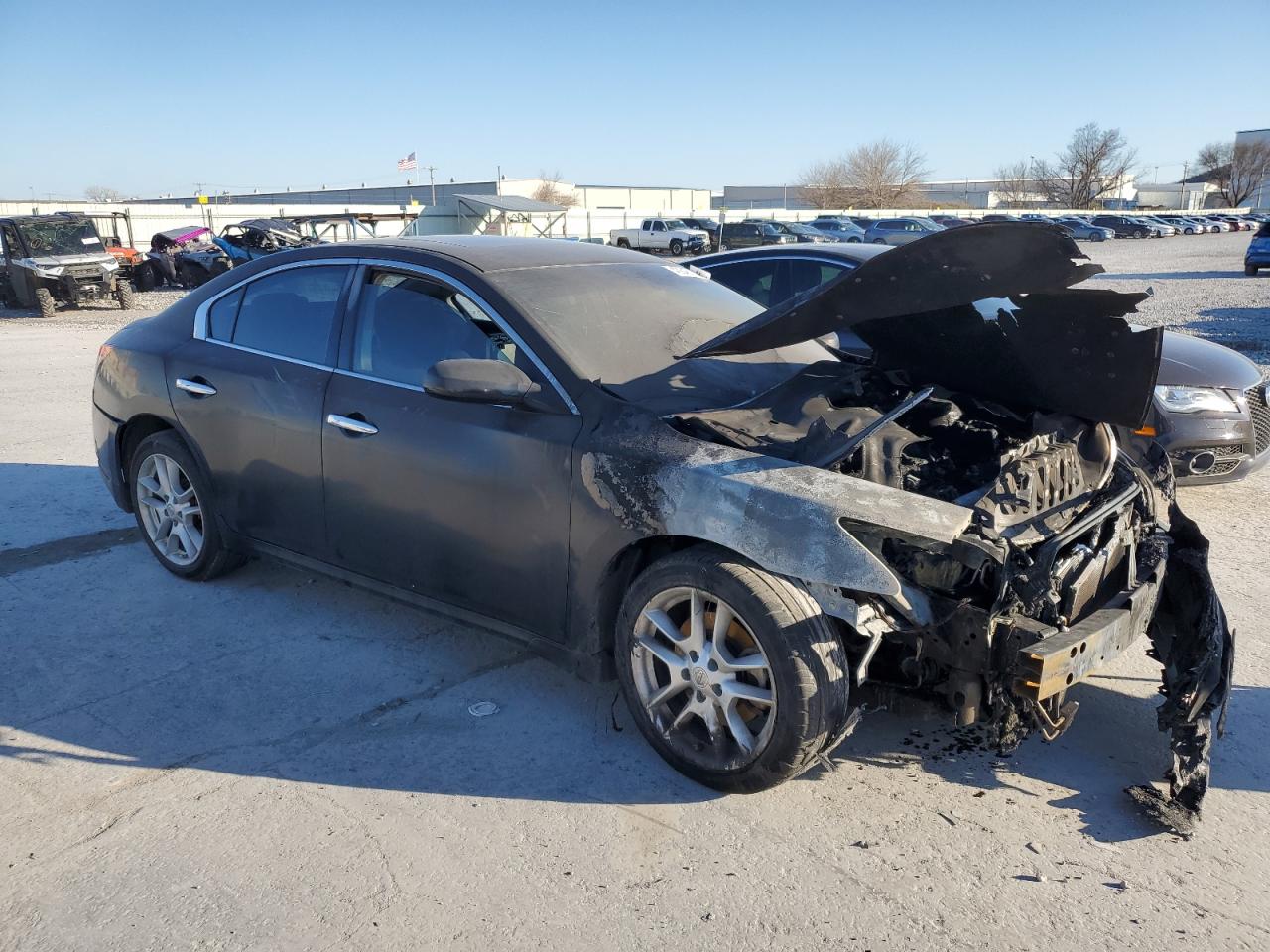 Photo 3 VIN: 1N4AA51E99C854155 - NISSAN MAXIMA 