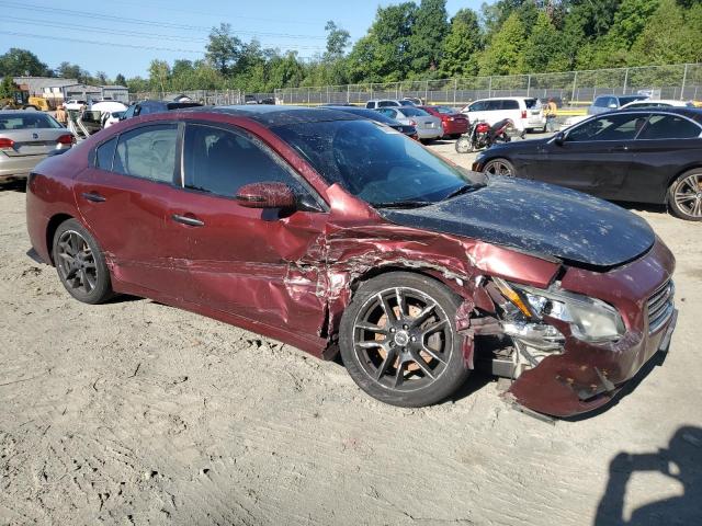 Photo 3 VIN: 1N4AA51EX9C815512 - NISSAN MAXIMA S 