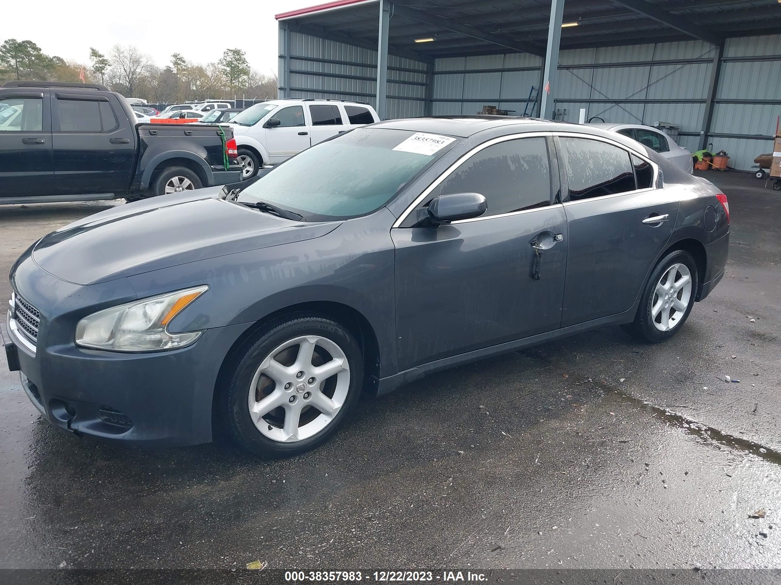 Photo 1 VIN: 1N4AA51EX9C823612 - NISSAN MAXIMA 