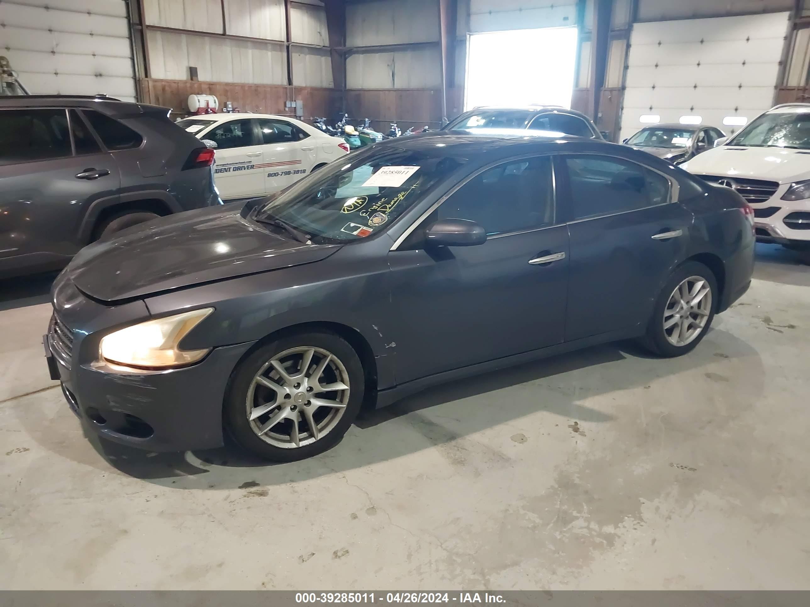 Photo 1 VIN: 1N4AA51EX9C825196 - NISSAN MAXIMA 