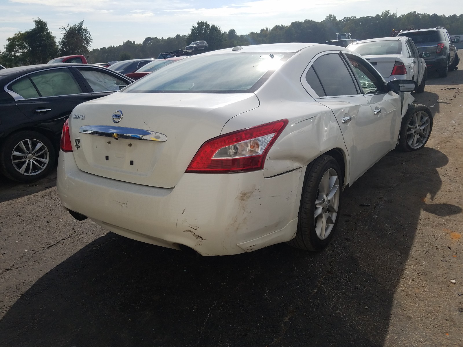 Photo 3 VIN: 1N4AA51EX9C829619 - NISSAN MAXIMA S 