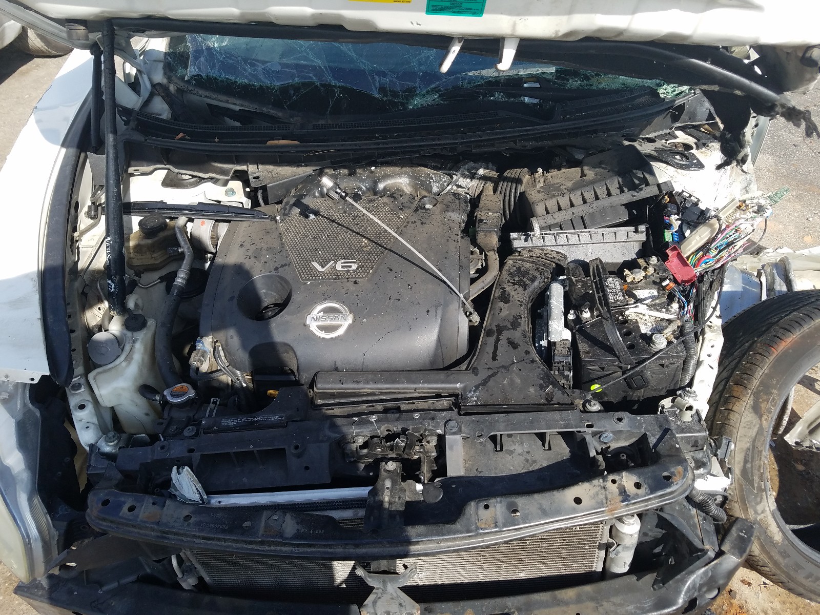 Photo 6 VIN: 1N4AA51EX9C829619 - NISSAN MAXIMA S 