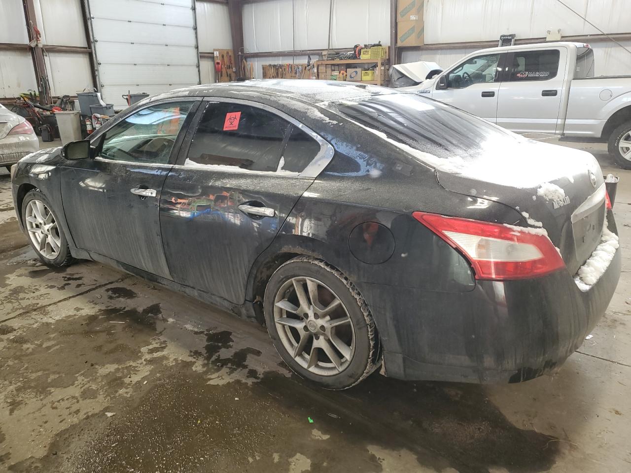 Photo 1 VIN: 1N4AA51EX9C844413 - NISSAN MAXIMA 