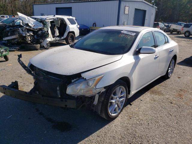 Photo 1 VIN: 1N4AA5AP0AC804153 - NISSAN MAXIMA 