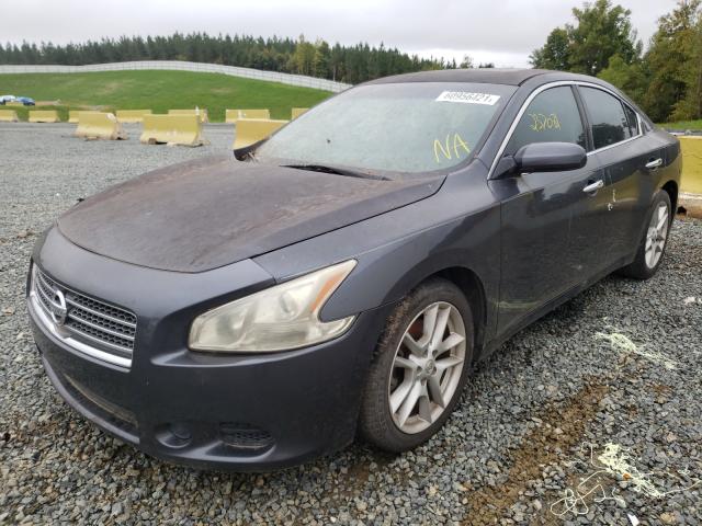 Photo 1 VIN: 1N4AA5AP0AC820563 - NISSAN MAXIMA S 