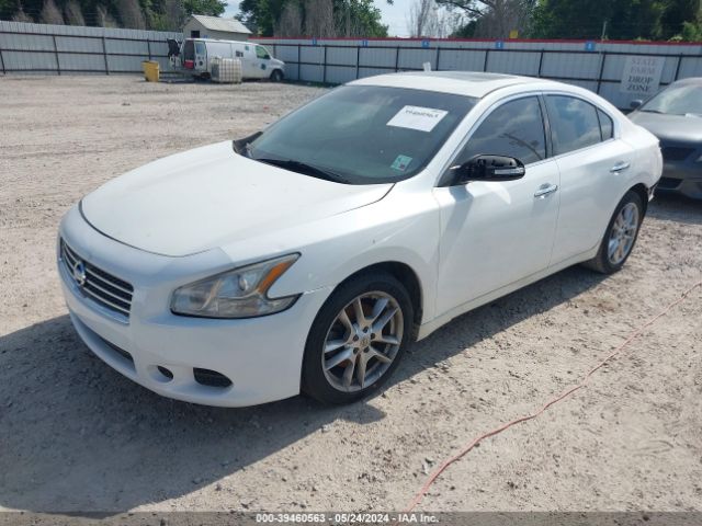 Photo 1 VIN: 1N4AA5AP0AC821857 - NISSAN MAXIMA 