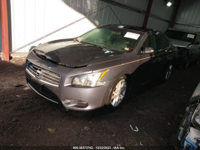 Photo 1 VIN: 1N4AA5AP0AC830008 - NISSAN MAXIMA 