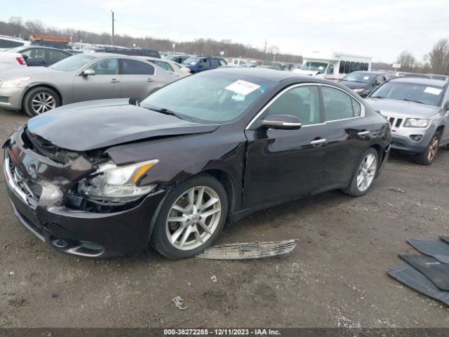 Photo 1 VIN: 1N4AA5AP0AC832695 - NISSAN MAXIMA 