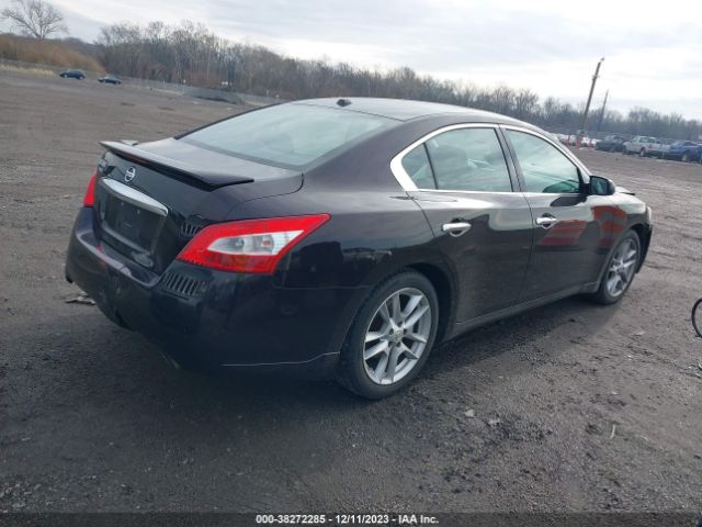 Photo 3 VIN: 1N4AA5AP0AC832695 - NISSAN MAXIMA 