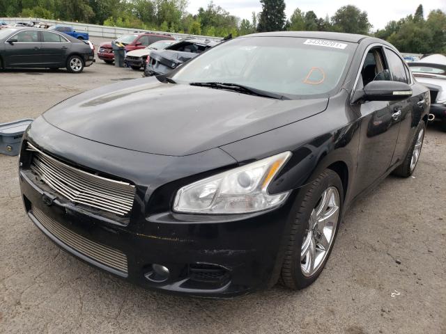 Photo 1 VIN: 1N4AA5AP0AC835869 - NISSAN MAXIMA S 