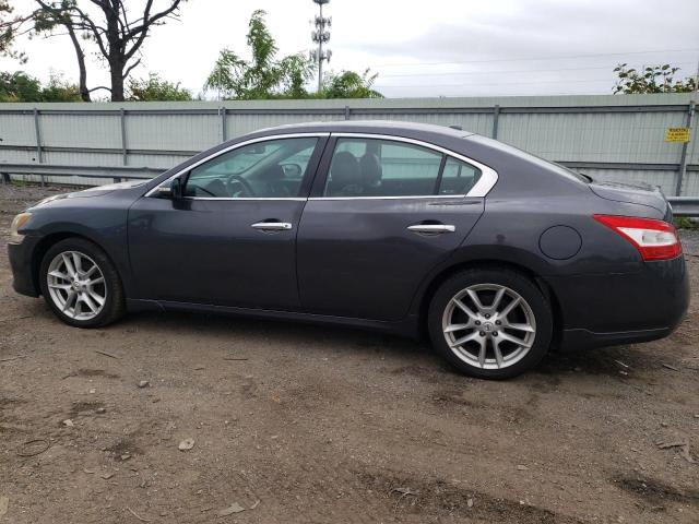 Photo 1 VIN: 1N4AA5AP0AC865440 - NISSAN MAXIMA 