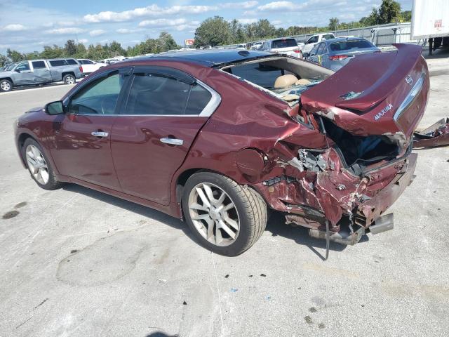 Photo 1 VIN: 1N4AA5AP0AC874221 - NISSAN MAXIMA 