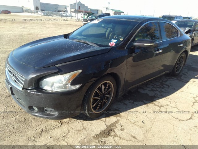 Photo 1 VIN: 1N4AA5AP0BC800489 - NISSAN MAXIMA 