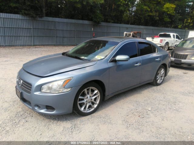 Photo 1 VIN: 1N4AA5AP0BC803022 - NISSAN MAXIMA 