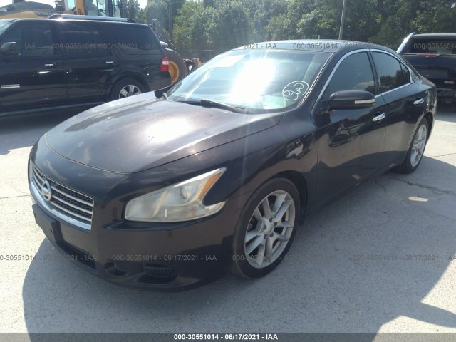 Photo 1 VIN: 1N4AA5AP0BC803425 - NISSAN MAXIMA 