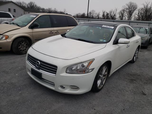 Photo 1 VIN: 1N4AA5AP0BC807460 - NISSAN MAXIMA S 