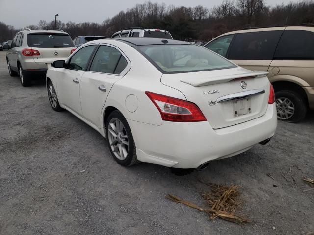 Photo 2 VIN: 1N4AA5AP0BC807460 - NISSAN MAXIMA S 