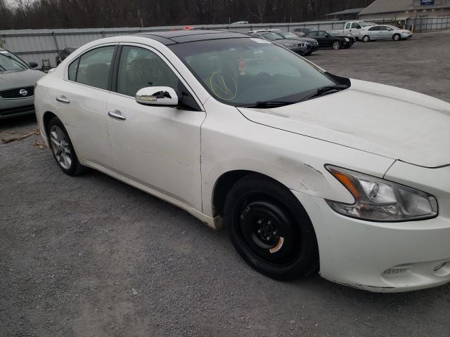 Photo 8 VIN: 1N4AA5AP0BC807460 - NISSAN MAXIMA S 