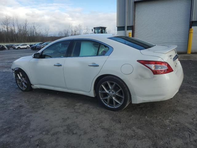 Photo 1 VIN: 1N4AA5AP0BC808611 - NISSAN MAXIMA S 