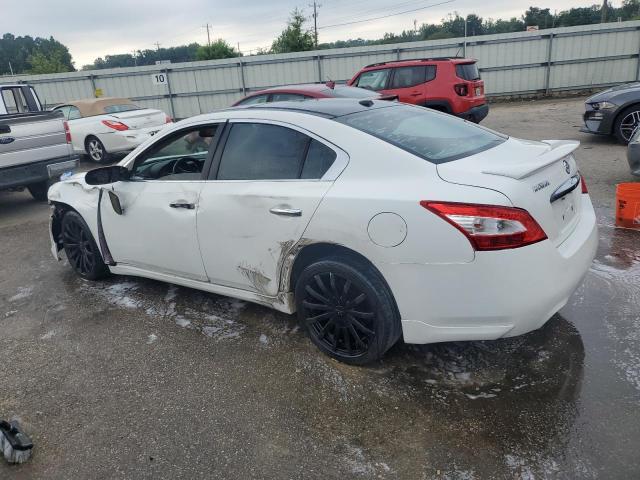 Photo 1 VIN: 1N4AA5AP0BC818149 - NISSAN MAXIMA 