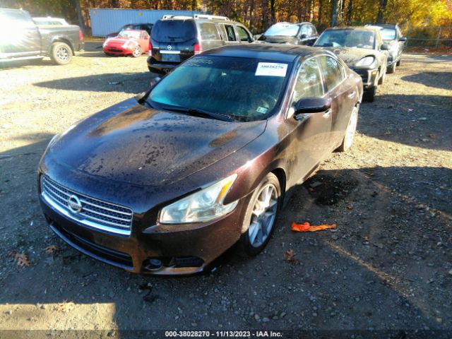 Photo 1 VIN: 1N4AA5AP0BC828177 - NISSAN MAXIMA 