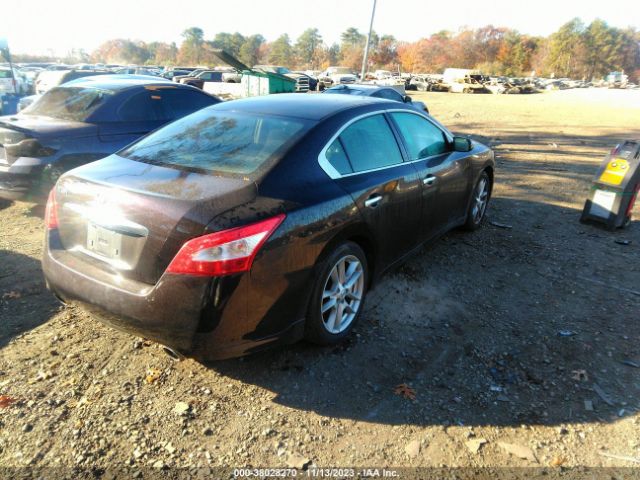 Photo 3 VIN: 1N4AA5AP0BC828177 - NISSAN MAXIMA 